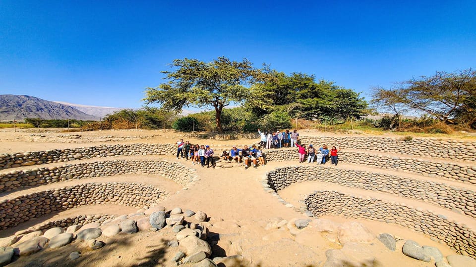From Ica or Huacachina: Day Trip to Nazca - Panamericana Sur viewpoint: tree, lizard, and frog from ground level