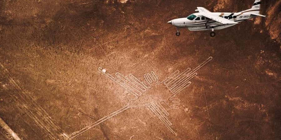 From Ica or Huacachina: Flight Tour Nazca Lines | Overflight - What you’ll see above Nazca: birds, animals, geometry, and the astronaut