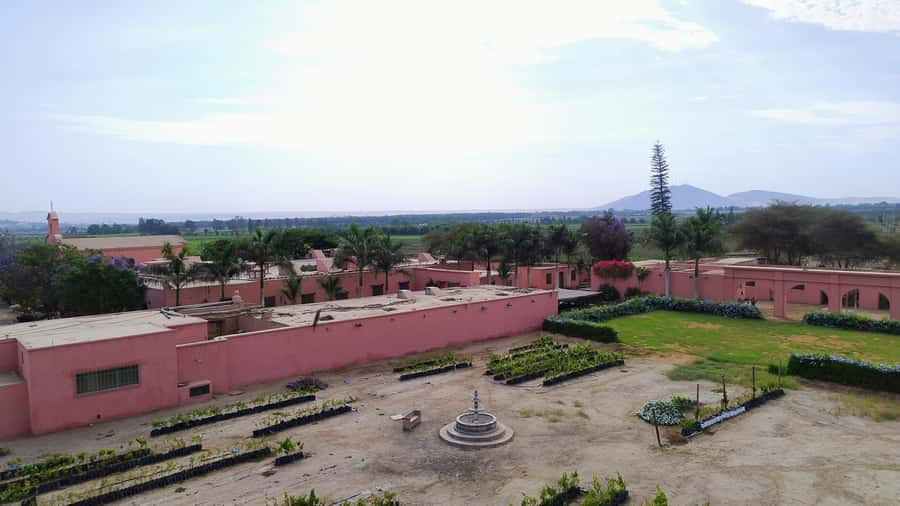 From Ica or Huacachina: Tour to Tacama Vineyard and Artisanal Winery. - Cutur Pisco at Fundo - Hotel El Arrabal, plus the Spanish cellar visit