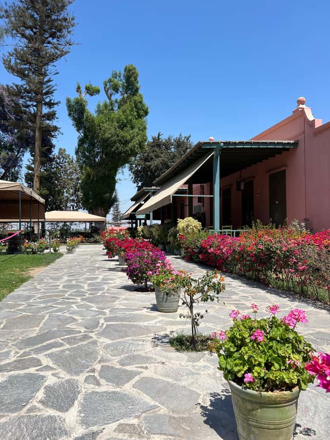 From Ica or Huacachina: Tour to Tacama Vineyard and Artisanal Winery. - Lunch break: typical Ica dishes, plus real time to choose