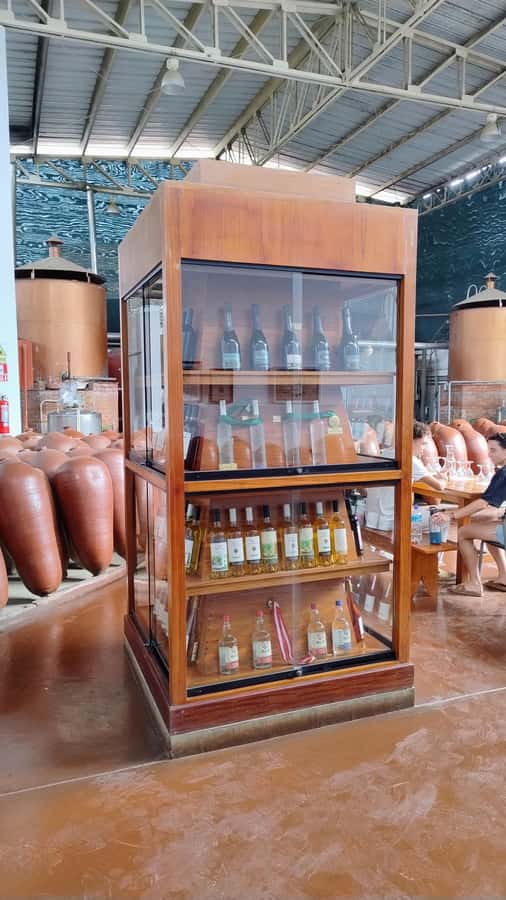 From Ica or Huacachina: Tour to Tacama Vineyard and Artisanal Winery. - Small scheduling details that can change your day