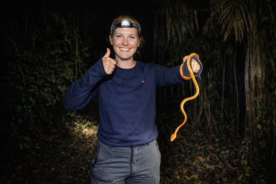 From Iquitos: 3-Day Amazon Jungle Adventure Trip - Day 3: botanical walk, lianas in your path, and the return to Iquitos