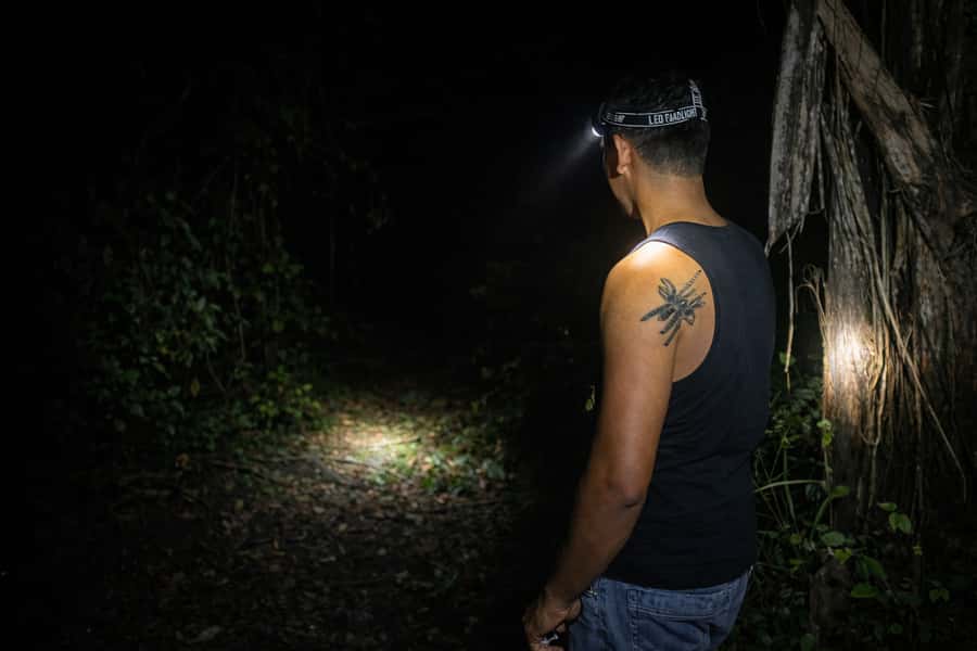 From Iquitos: 3-Day Amazon Jungle Adventure Trip - Wildlife spotting: what you can reasonably hope for