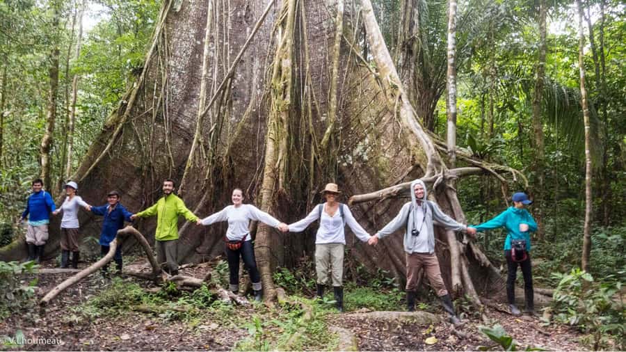 From Iquitos: Full day tour in the Peruvian jungle - From Iquitos to the Amazon: pickup, dock walk, and the Itaya River start