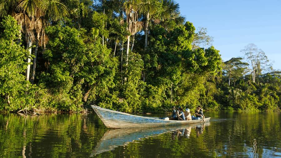 From Iquitos: Full day tour in the Peruvian jungle - Dolphins on the cruise: enjoying the hunt without getting disappointed