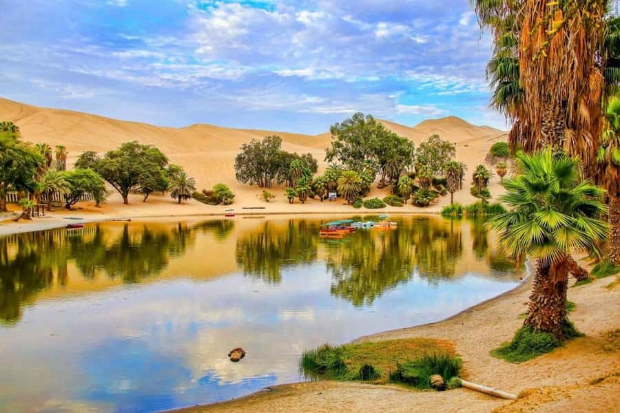 From Lima: 2 Days to Paracas & Huacachina | 2 Days/1 Night - Should You Book This Paracas and Huacachina 2-Day Trip?