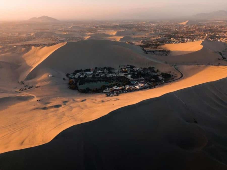 From Lima: Ballestas Islands and Huacachina Sunset Day Trip - Ballestas Islands by Boat: Humboldt Wildlife Without the Fancy Clocks