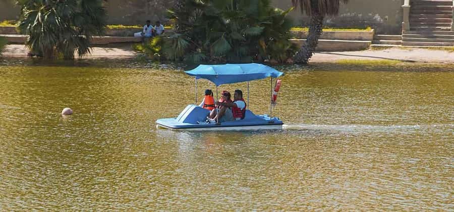 From Lima: Ballestas Islands and Huacachina Sunset Day Trip - Guide Energy and Long-Day Logistics (It’s Part of the Deal)
