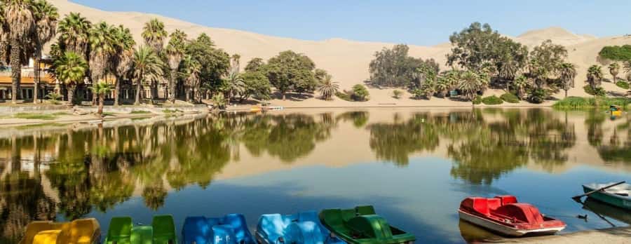 From Lima: Ballestas Islands, Huacachina and Wine Route Trip - Paracas to Ica: lunch plus wine and pisco where it counts