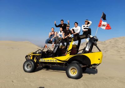 From Lima: Ballestas Islands, Huacachina with buggy Economic - Ballestas Islands speedboat: what you’ll actually look for