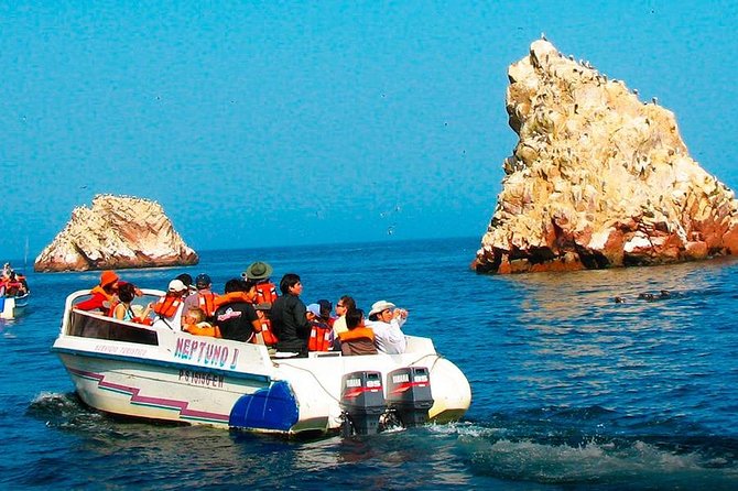 From Lima: Ballestas, Nazca Lines & Huacachina Oasis - Islas Ballestas: Short Boat Tour, Big Wildlife Moments