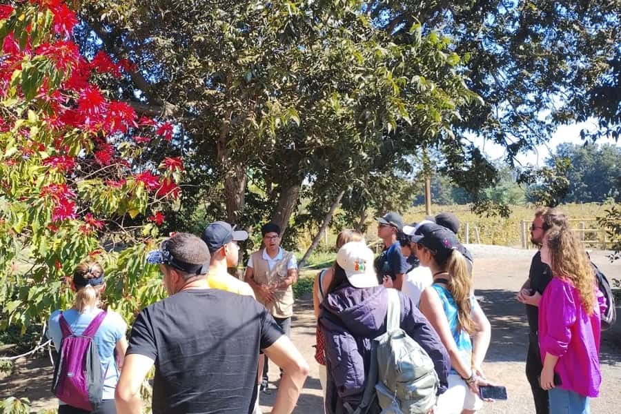From Lima: Day trip to Paracas, Ica and Oasis Huacachina - The schedule reality: early pickup, a late night, and how to handle it