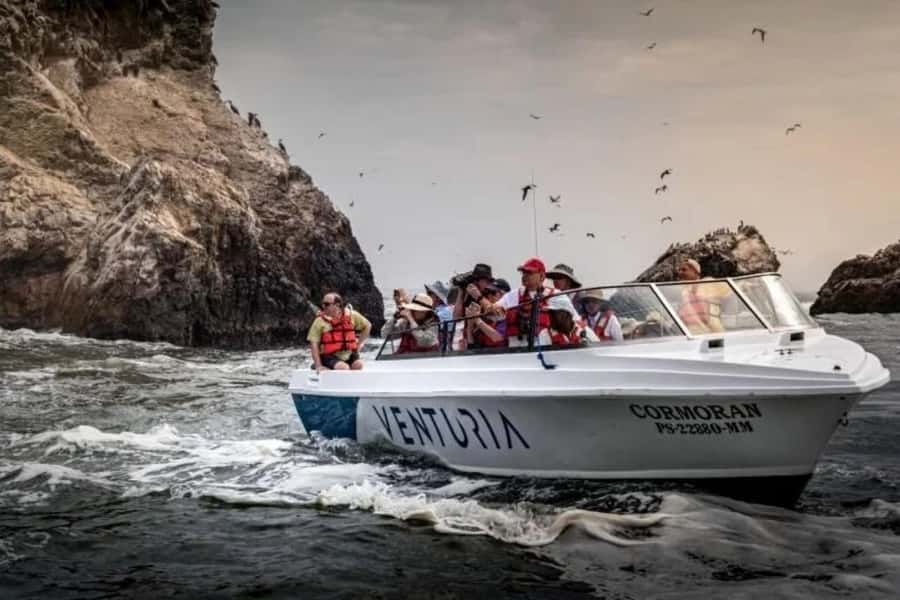 From Lima: Day trip to Paracas, Ica and Oasis Huacachina - Tour organization: the guides make a difference