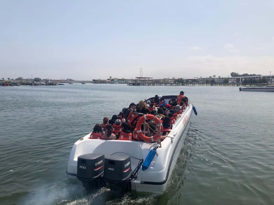 From Lima: Day Trip to Paracas, Ica & Oasis Huacachina - Why this one-day route works: Ballestas to Huacachina in a single push