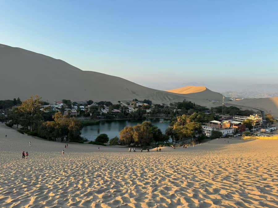 From Lima: Full Day Private All Inclusive Paracas, Ica. - Should you book this Lima to Paracas and Huacachina private day?