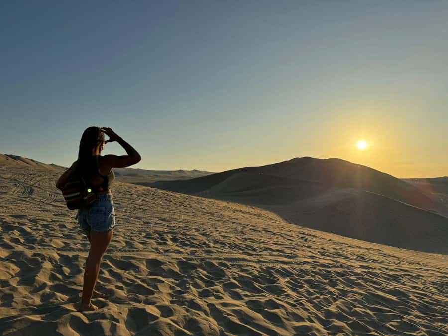 From Lima: Full Day Private All Inclusive Paracas, Ica. - The Ica valley break at CulturPisco: lunch, pisco, and a real sense of place