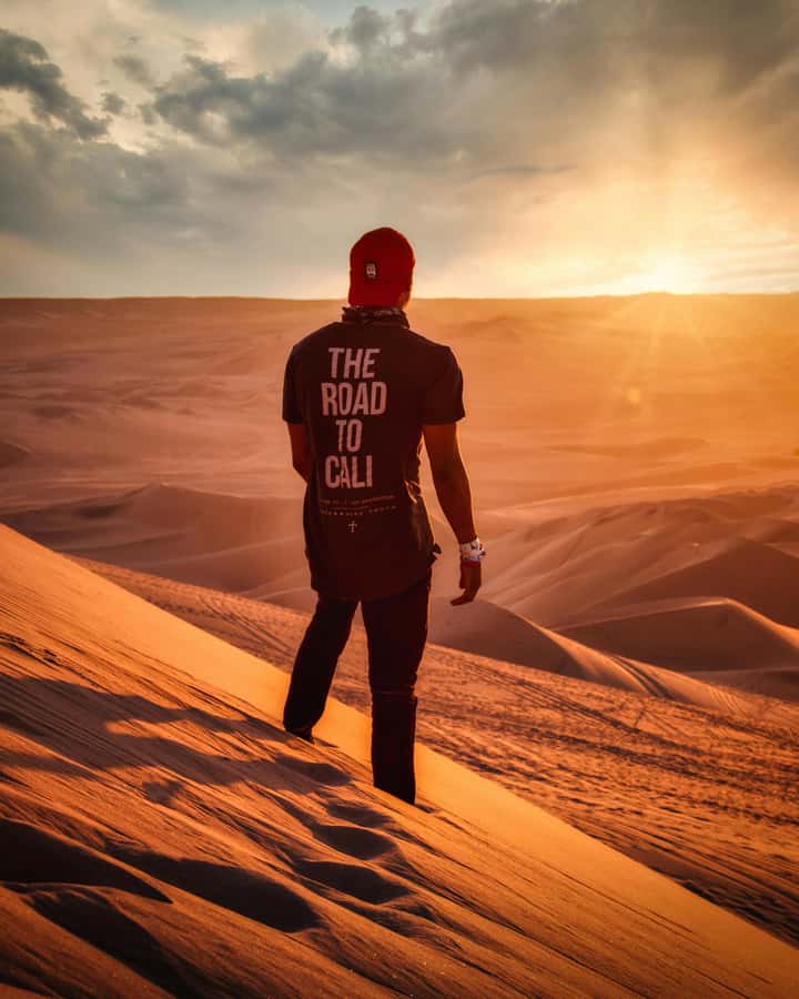 From Lima: Full Day to Paracas and Huacachina Desert Oasis - Key highlights at a glance