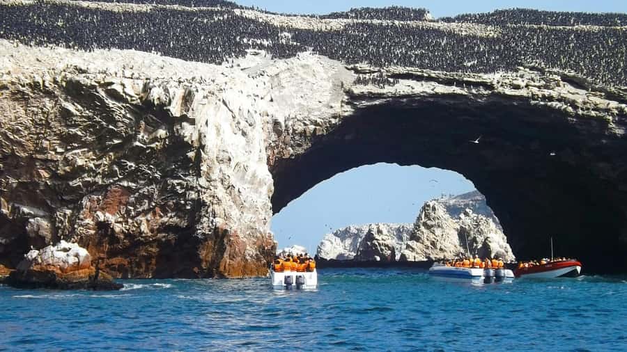 From Lima: Huacachina Oasis & Ballestas Island - ENGL / ESPA - Paracas and Huacachina: the rare two-for-one day