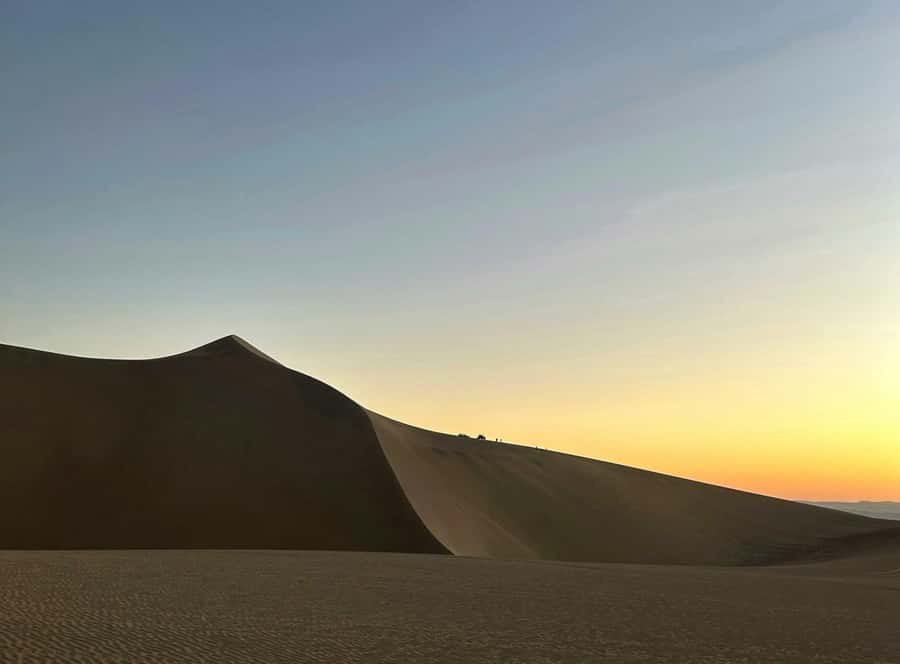 From Lima: Huacachina Oasis & Ballestas Island - ENGL / ESPA - Buggy 4WD and sandboarding: the adrenaline block