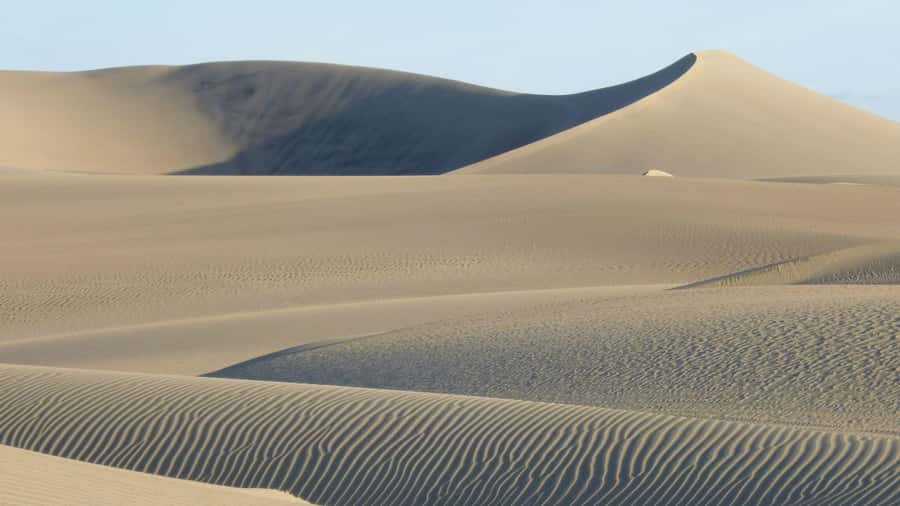 From Lima: Huacachina Oasis & Ballestas Island - ENGL / ESPA - The late stops: snacks, souvenirs, and heading back to Lima