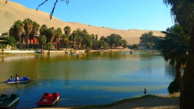 From Lima: Huacachina Oasis Tour, Winery & Desert Sunset - Winery and pisco tasting in Ica: what you’re getting (and what you should expect)