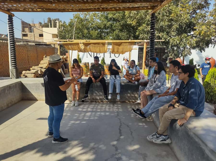 From Lima: Huacachina Oasis Tour, Winery & Desert Sunset - Who this Huacachina day trip suits best