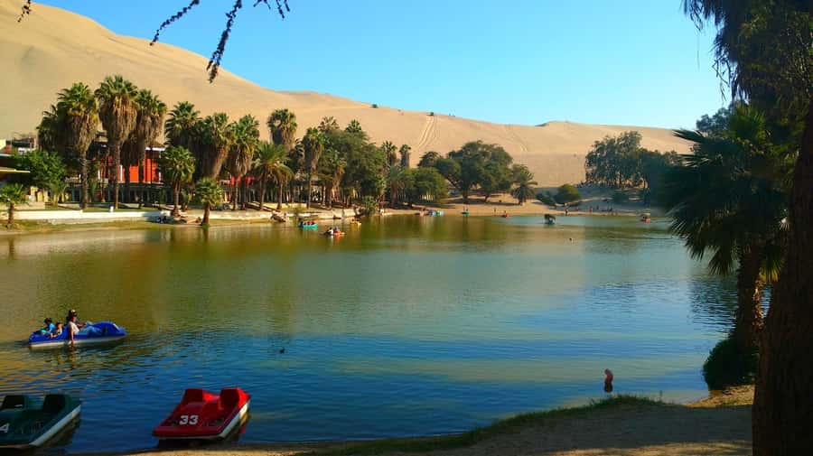 From Lima: Huacachina Oasis Tour, Winery & Desert Sunset - Winery and pisco tasting in Ica: what you’re getting (and what you should expect)