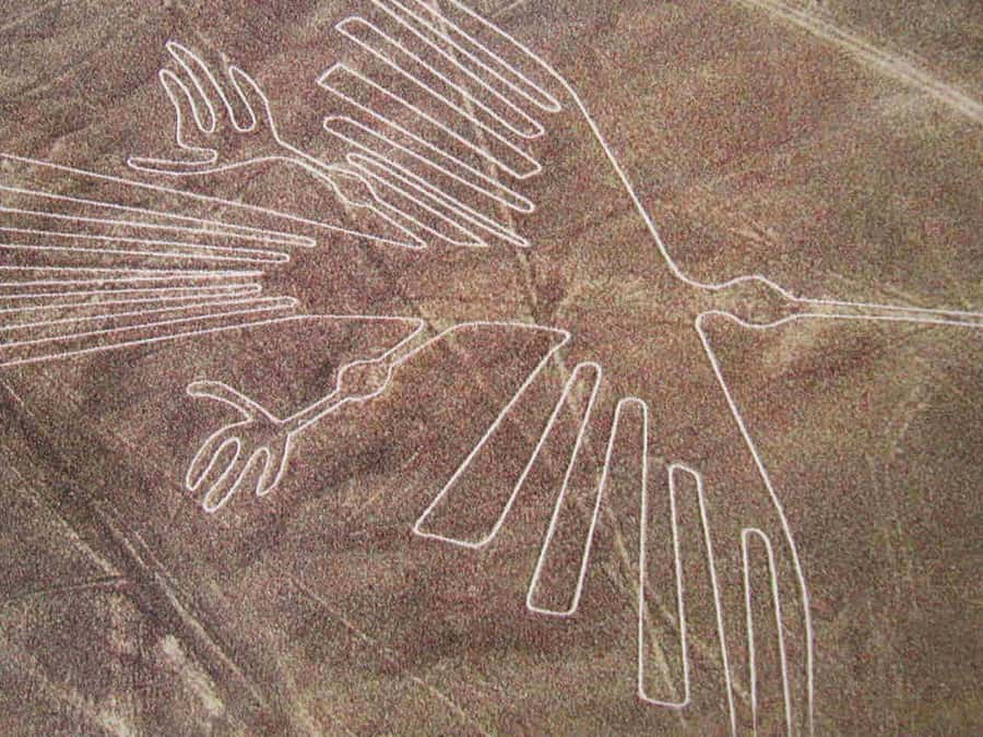 From Lima: Nazca Lines Flight with Huacachina Oasis Tour - Price and value: how $480 pencils out