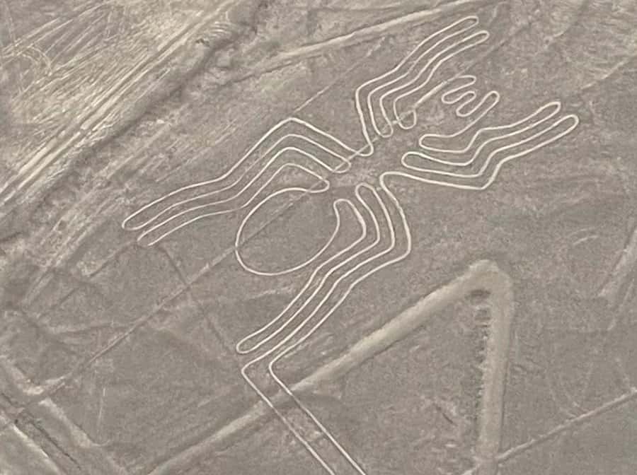 From Lima: Nazca Lines Flight with Huacachina Oasis Tour - Who this tour suits best (and who should pass)