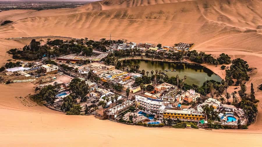 From Lima: Paracas and Huacachina Day Trip with Buggy Ride - Huacachina Oasis Time: Free Exploring, Photos, and Optional Lagoon Swims
