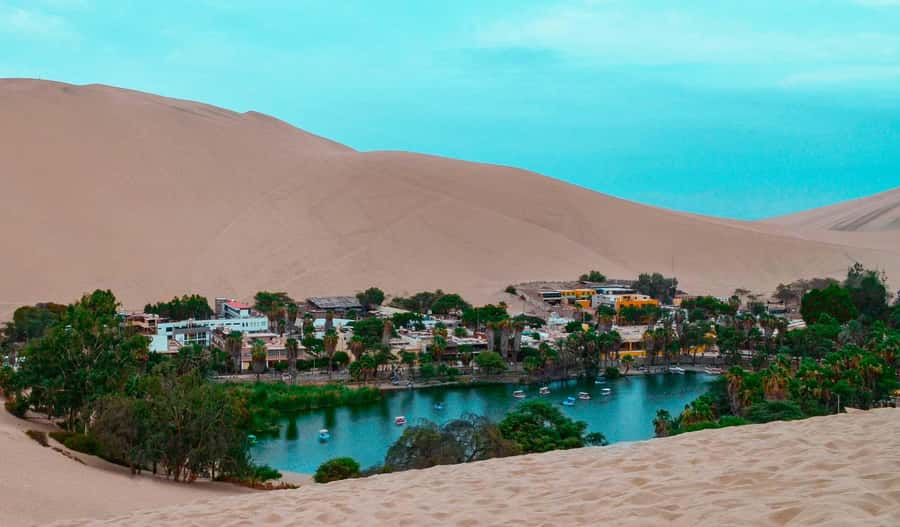 From Lima: Paracas and Huacachina Day Trip with Buggy Ride - The Long-Day Rhythm: Transport, Timing, and What It Means for You