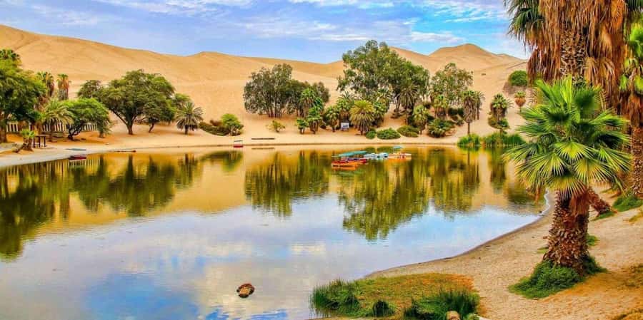 From Lima: Paracas and Huacachina Guided Desert Oasis Trip - Tour day flow: what the timing really means for you