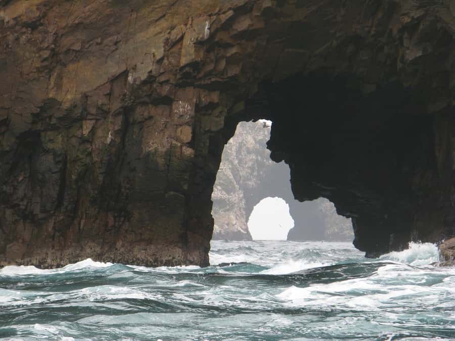 From Lima: Paracas and Huacachina Oasis Full Day Tour - Should you book this Lima-to-Paracas-and-Huacachina tour?