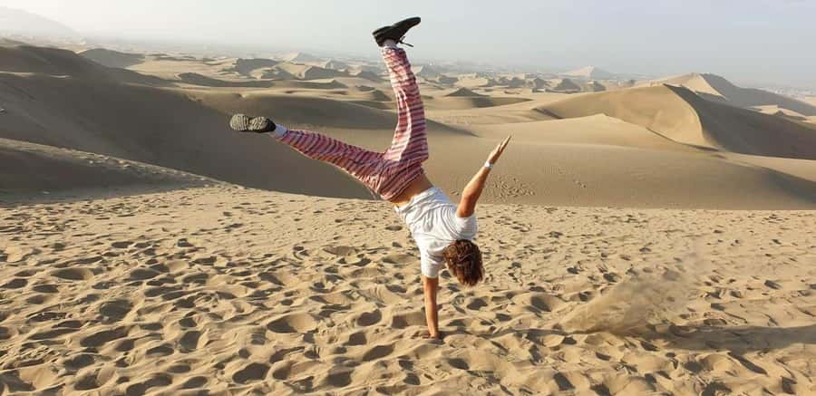 From Lima: Sunset in Huacachina Oasis & vinneyard with lunch - Ica winery time: guided touring, lunch, and wine plus pisco