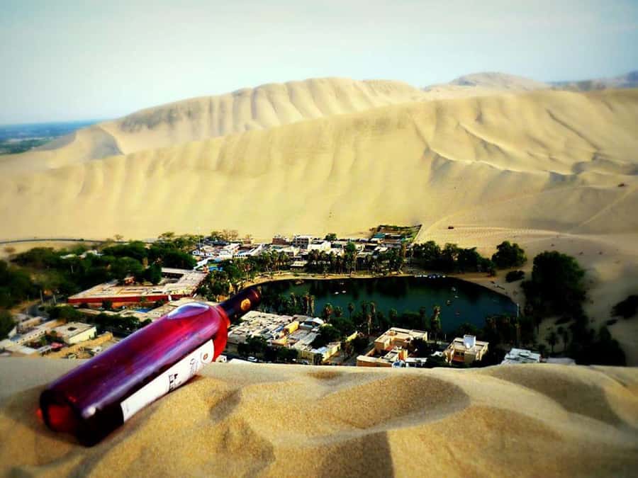 From Lima:Paracas Ballestas Islands and Ica Oasis 1 day Tour - Lima pickup at 4:30 am: why the early start pays off