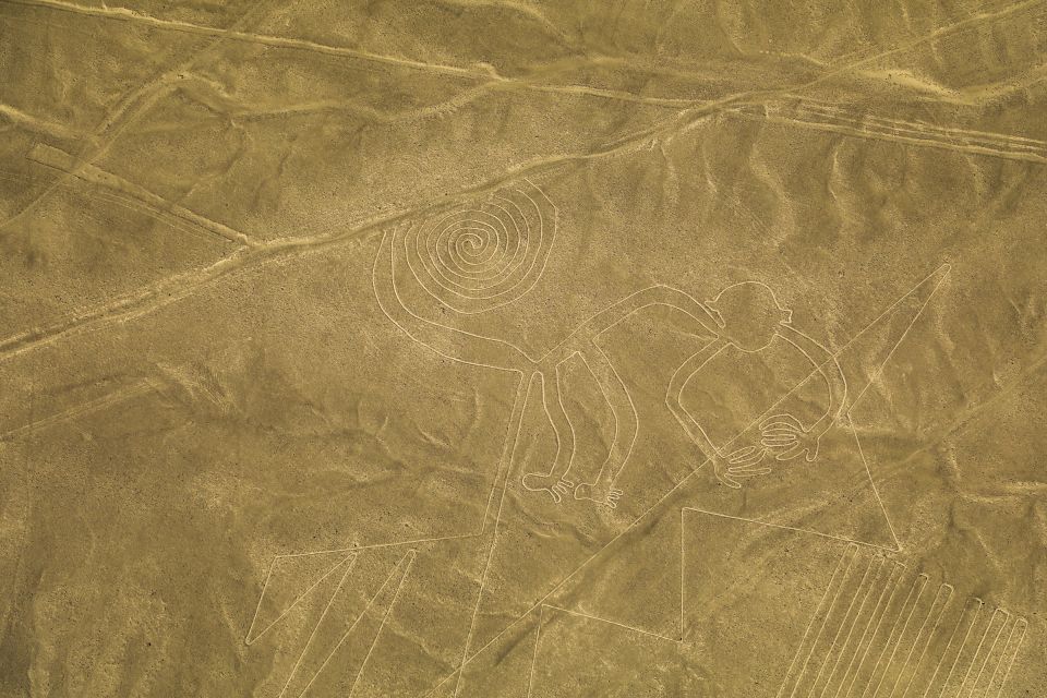 From Nazca: 35-Minute Flight Over Nazca Lines - The flight itself: 35 minutes to spot 14 geoglyphs