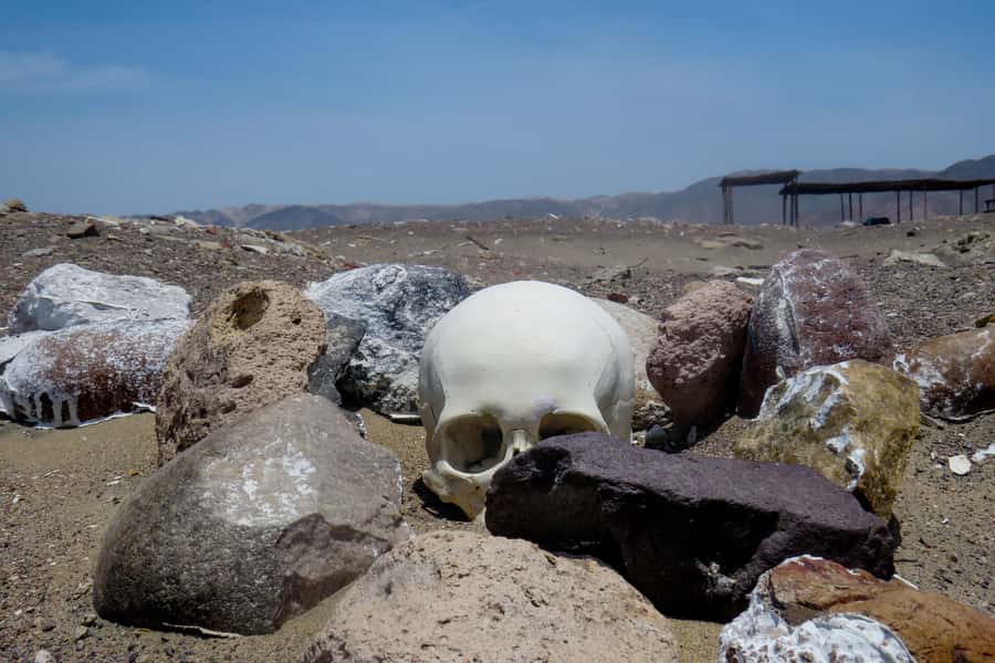 From Nazca: Chauchilla Cemetery Tour and Artisans Workshop - What to expect from the guide: bilingual explanations that answer the real questions