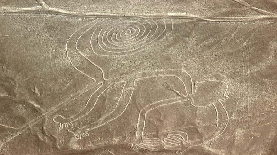 From Nazca: Flight in a light aircraft over the Nazca Lines - Key things you should know before you fly