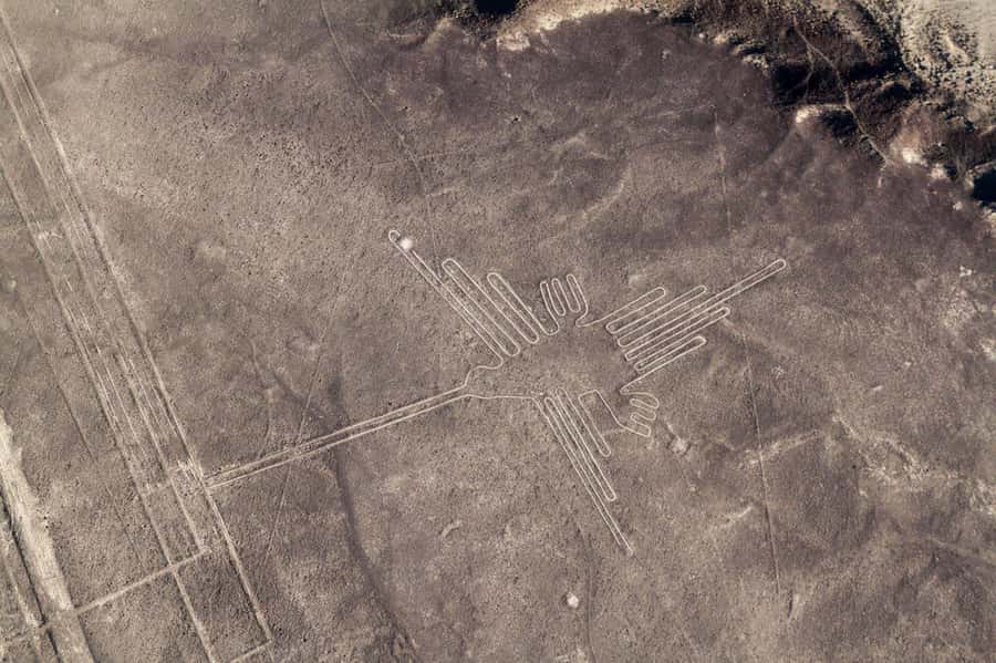 From Nazca: Small plane flight over the Nazca Lines - Quick hits before you go
