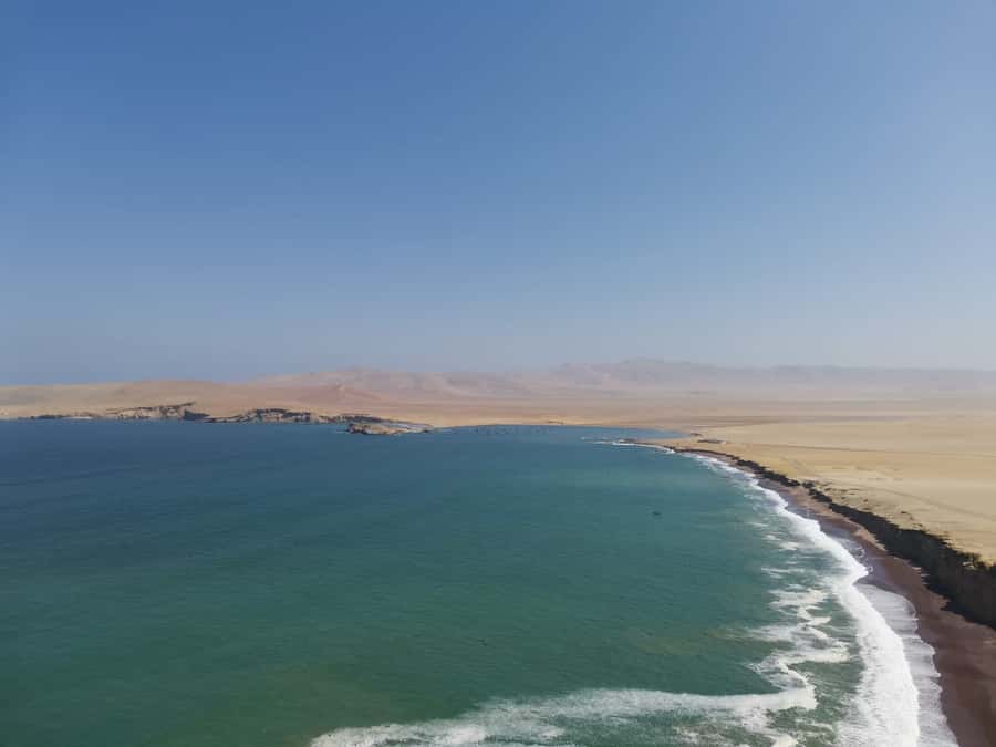 From Paracas: Ballestas Island Cruise & Paracas Reserve Tour - Ballestas Islands wildlife: seals, seabirds, and Humboldt penguins