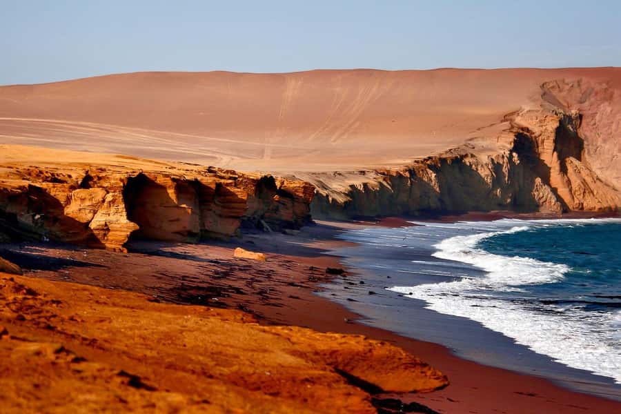 From Paracas: Ballestas Islands & Paracas National Reserve - Key points to know before you go