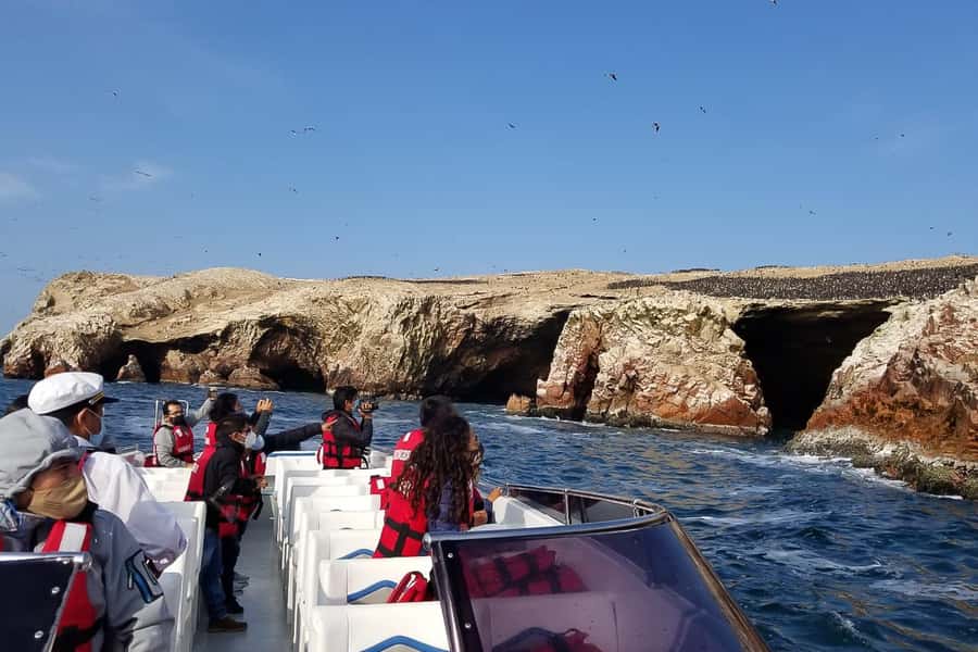From Paracas: Ballestas Islands & Paracas National Reserve - What to bring for sun, salt spray, and maroon-sand photos