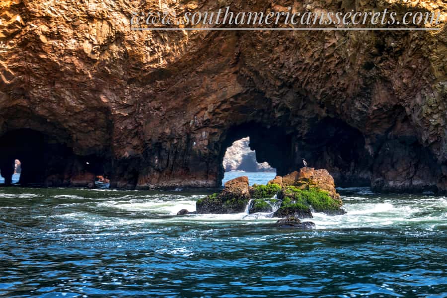 From Paracas: Ballestas Islands tour all Inclusive - Quick hits before you go