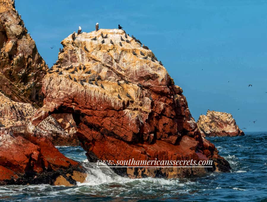 From Paracas: Ballestas Islands tour all Inclusive - Hotel pickup to Marina Turística: how the day starts