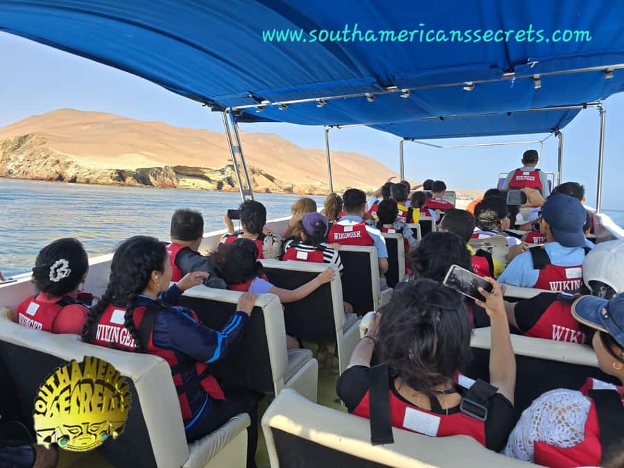 From Paracas: Ballestas Islands tour all Inclusive - The departure windows: choose 8:00, 9:00, 10:00, or 11:00