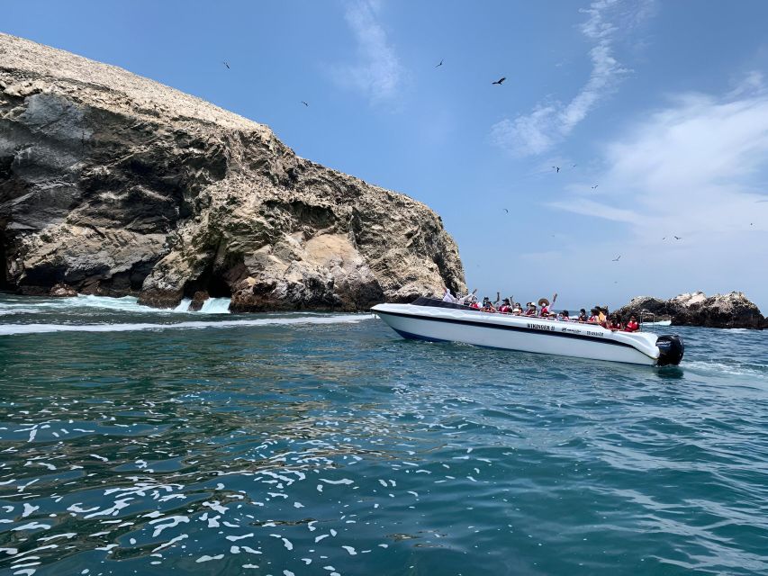 From Paracas: Ballestas Islands tour all Inclusive - Candelabro de Paracas and the Chandelier/Cactus geoglyph stop