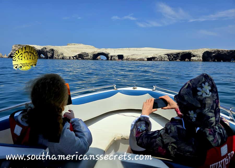From Paracas: Ballestas Islands tour all Inclusive - Ballestas Islands viewing: penguins, sea lions, and seabird action