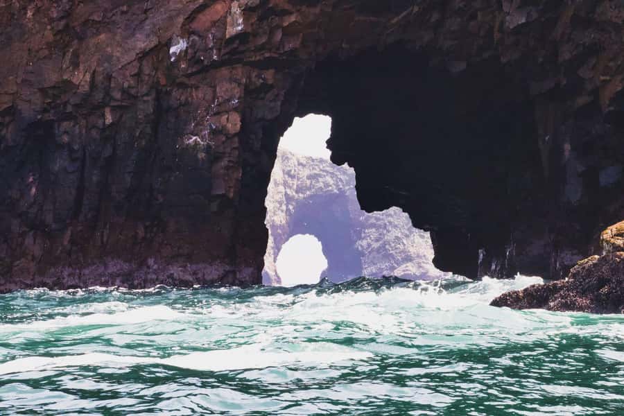 From Paracas: Guided boat tour of the Ballestas Islands - What You’ll Remember Most (and Why It Works)