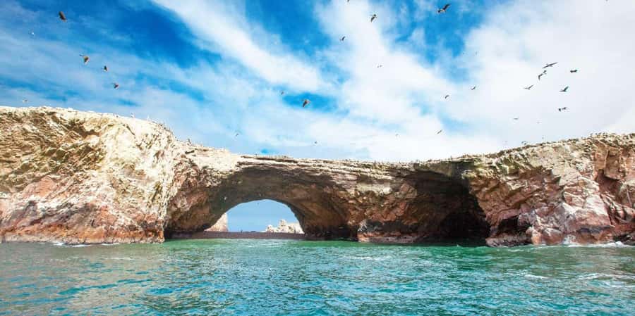 From Paracas: Guided boat tour of the Ballestas Islands - Cruising the Natural Arches and Caves