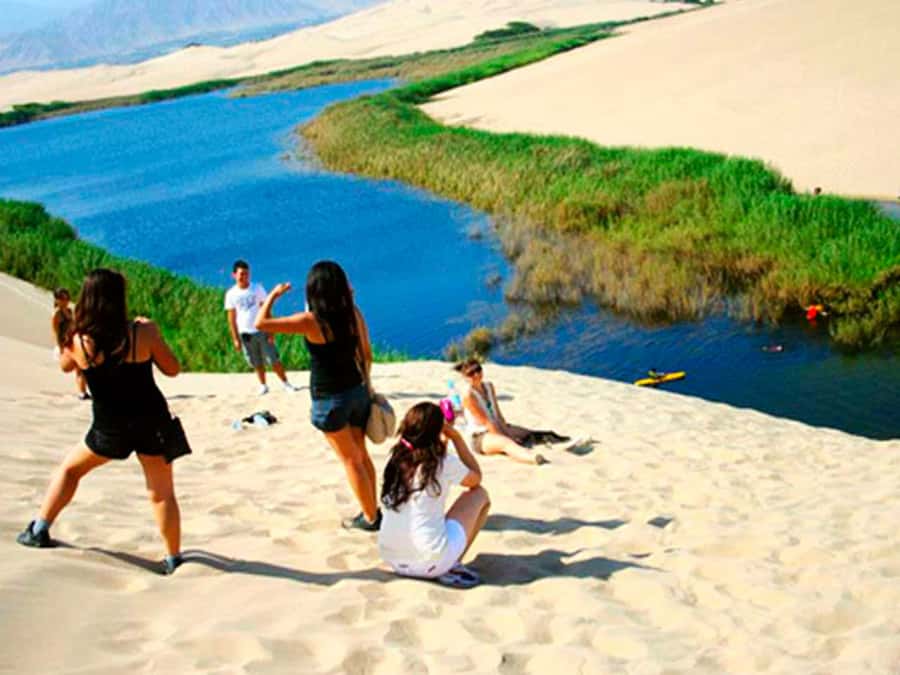 From Paracas: Mini Buggy Tour & Sandboarding at Oasis - From Paracas to the California-Style Desert Dunes